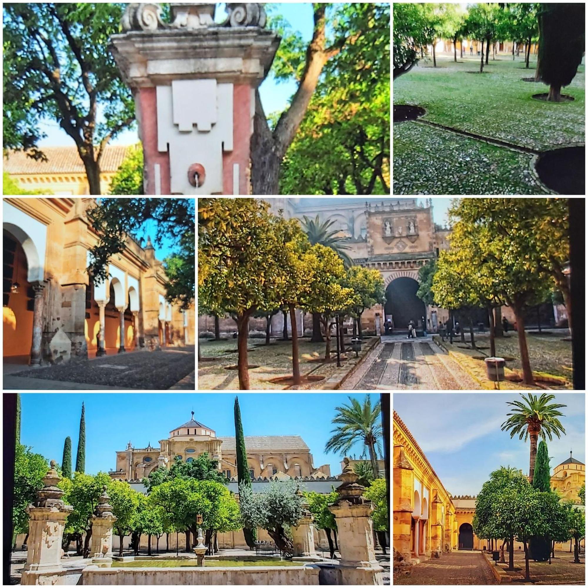 A 20 Metros De La Mezquita Catedral ,Apartamentos Turistico Cespedes 5 Кордова Номер фото