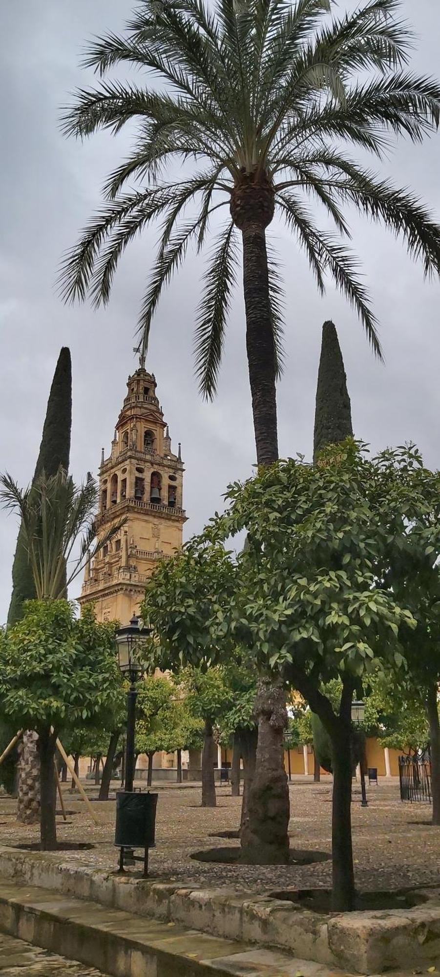 A 20 Metros De La Mezquita Catedral ,Apartamentos Turistico Cespedes 5 Кордова Номер фото